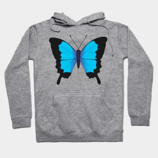 Ulysses butterfly Hoodie